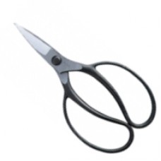 Root shears [A-6]